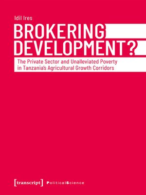 cover image of Brokering Development?